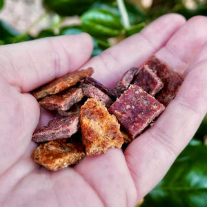 Freeze dried real meat all natural healthy dog treats Ruff Bar pieces