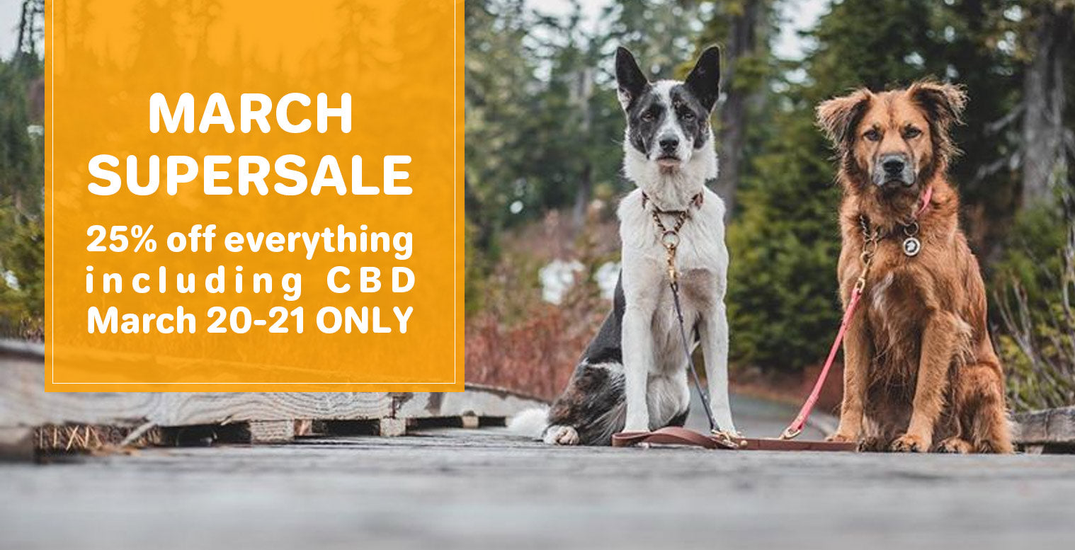 March 2020 SUPER SALE