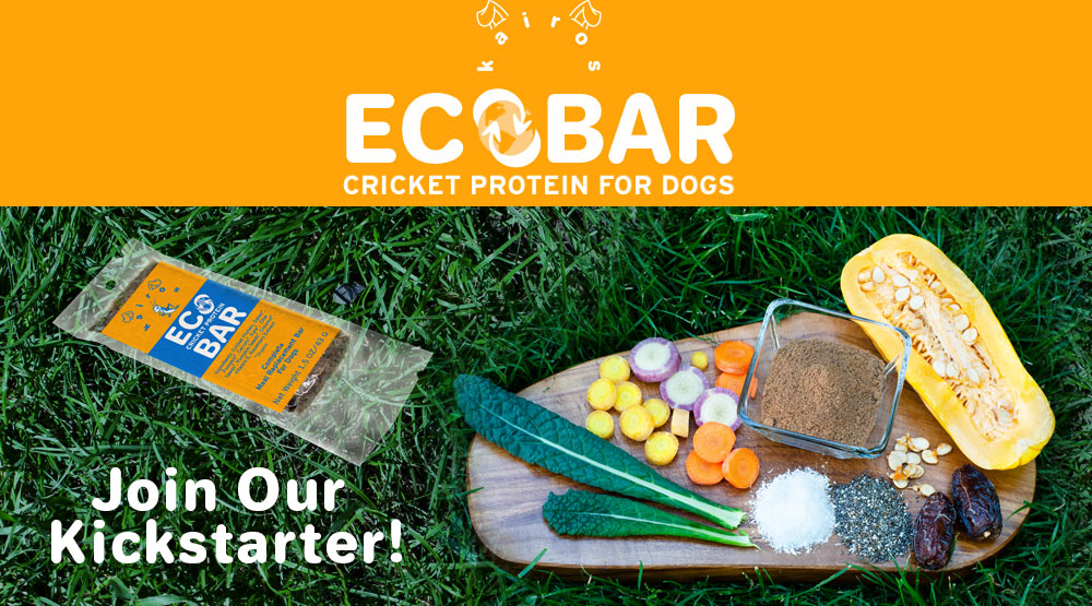 Join Our Kickstarter!