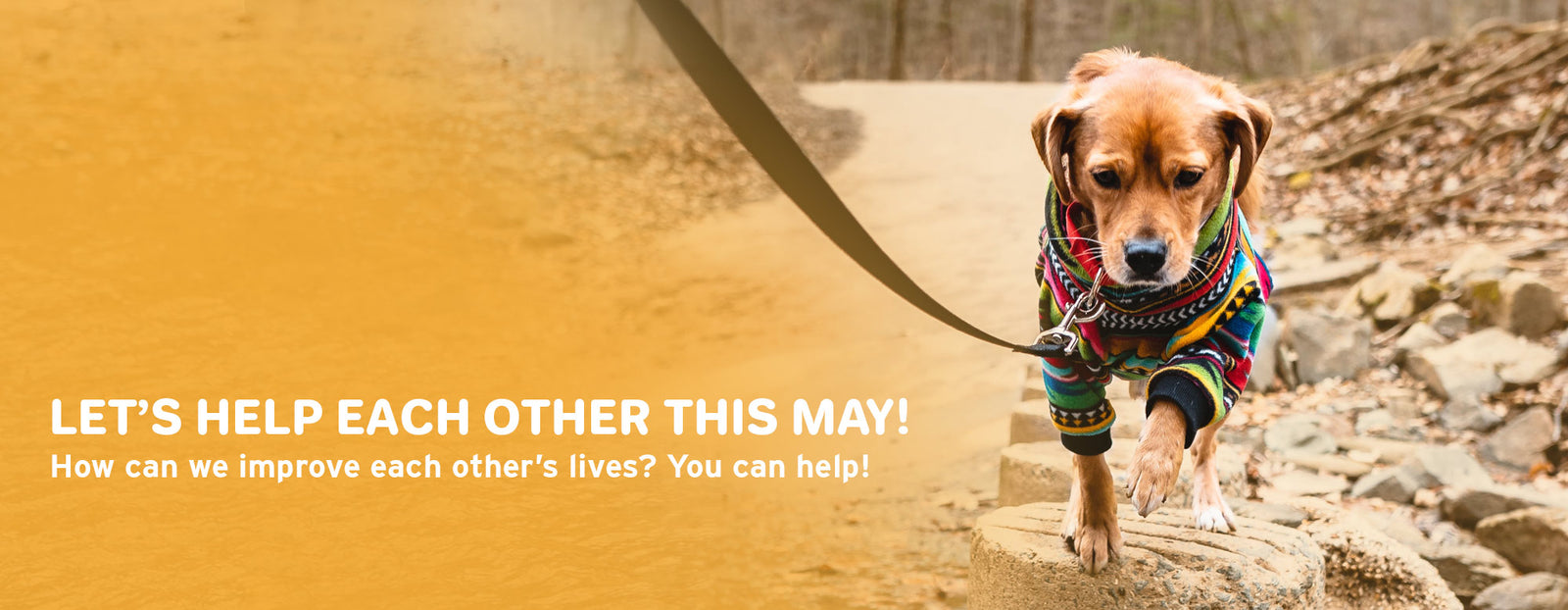 May is Giving Month