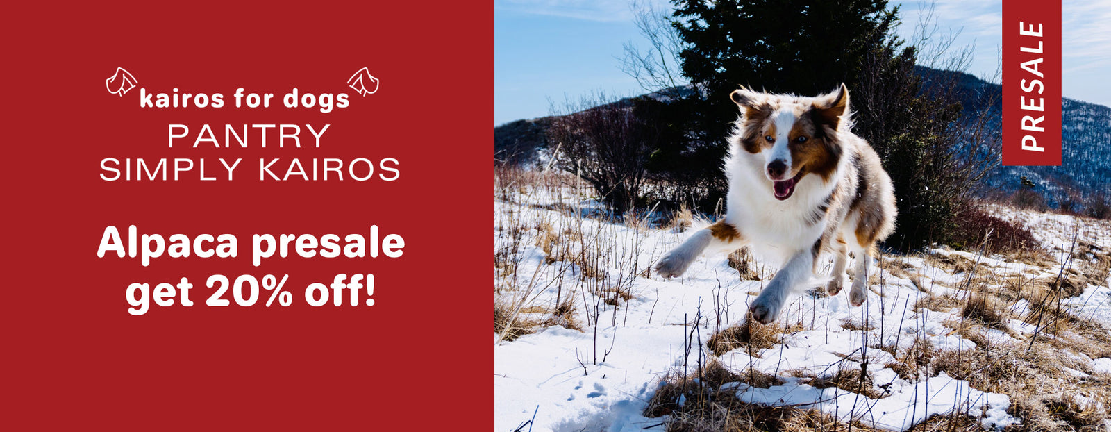 Alpaca Presale July 2020