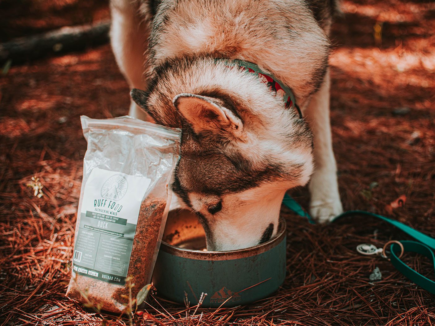 Real meat healthy dog food no preservatives freeze dried