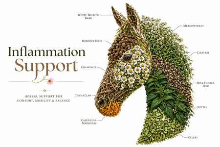Inflammation Support Herb Mix for Horses