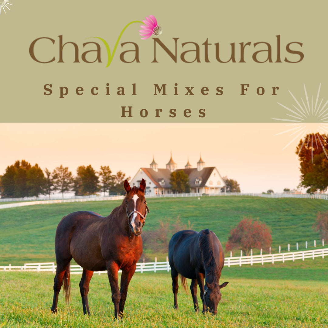Big Sky Supplements - Specialty Herb Mixes for Horses 🌿