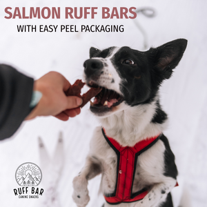 Active dog 100% real meat salmon ruff bar dog treat